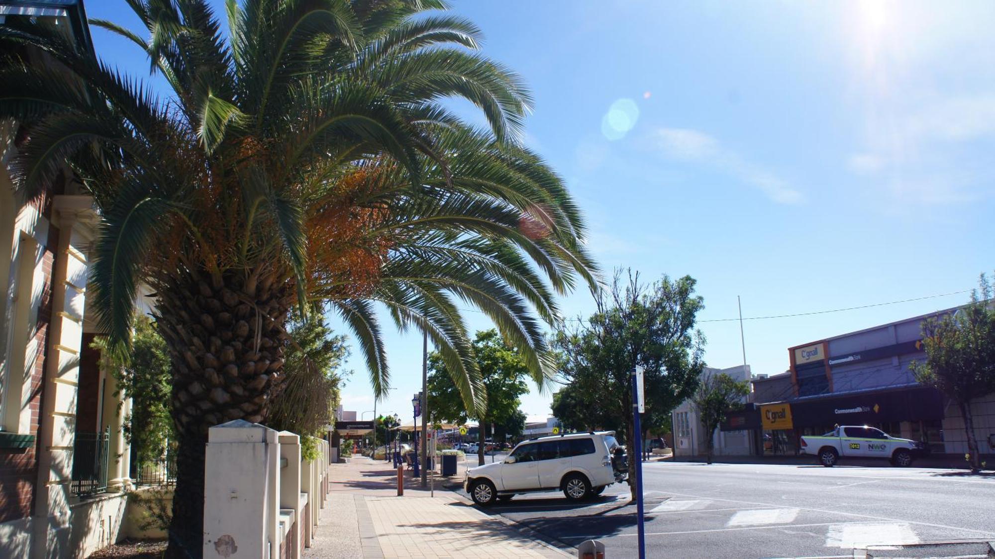 Motel Myall Dalby Esterno foto
